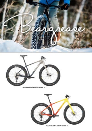 2021 SALSA DEALER BOOK