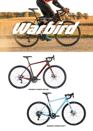 2021 SALSA DEALER BOOK