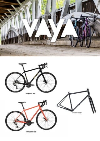 2021 SALSA DEALER BOOK