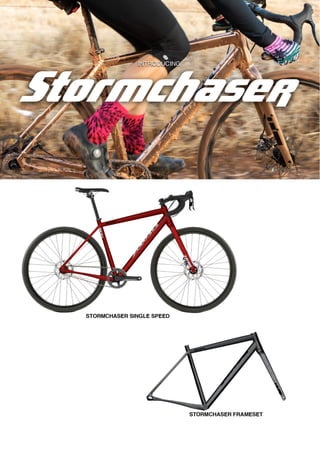 2021 SALSA DEALER BOOK