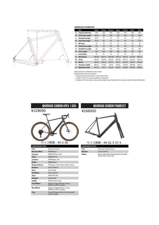 2021 SALSA DEALER BOOK