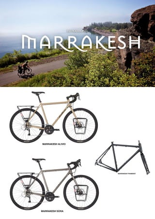 2021 SALSA DEALER BOOK