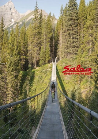 2021 SALSA DEALER BOOK