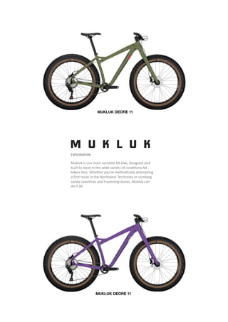 2021 SALSA DEALER BOOK