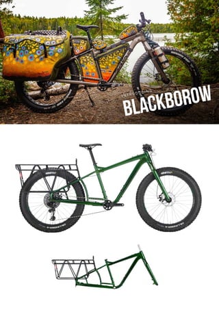 2021 SALSA DEALER BOOK