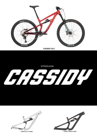 2021 SALSA DEALER BOOK