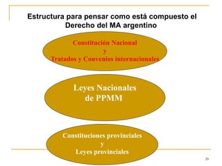 20
Estructura para pensar como está compuesto el
Derecho del MA argentino
Constitución Nacional
y
Tratados y Convenios internacionales
Leyes Nacionales
de PPMM
Constituciones provinciales
y
Leyes provinciales
 