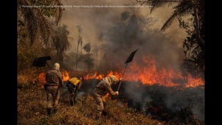 “Pantanal Ablaze” © Lalo de Almeida (Brazil). Panos Pictures for Folha de São Paulo. Environment, First Place, Stories.
 