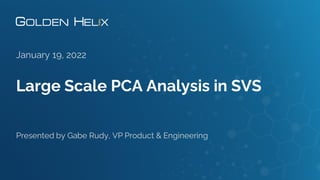 Gabie Rudye Large Scale PCA Analysis in SVS | PDF