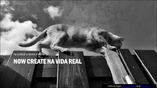NOW CREATE NA VIDA REAL
na prática a teoria é outra?
Crédito da imagem: Serious observing, por @Tjarko Busink
 
