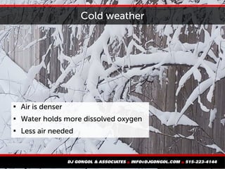 Cold weather

Air is denser

Water holds more dissolved oxygen

Less air needed
 