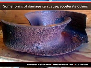 Some forms of damage can cause/accelerate others
 