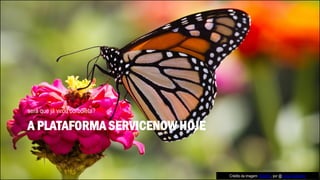 A PLATAFORMA SERVICENOW HOJE
será que já virou borboleta?
Crédito da imagem: Butterfly, por @Conal Gallagher
 
