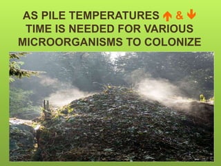 AS PILE TEMPERATURES  & 
TIME IS NEEDED FOR VARIOUS
MICROORGANISMS TO COLONIZE
 
