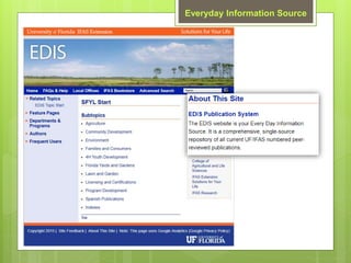 Everyday Information Source
 