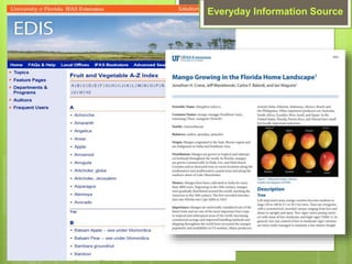 Everyday Information Source
 