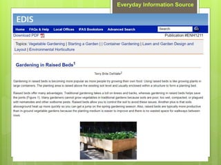 Everyday Information Source
 