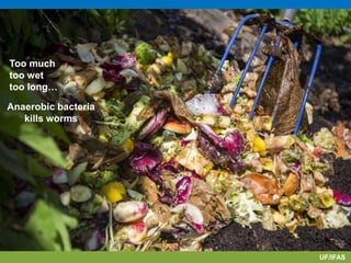 Too much
too wet
too long…
Anaerobic bacteria
kills worms
UF/IFAS
 