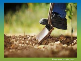 Photo www.bobvila.com
 