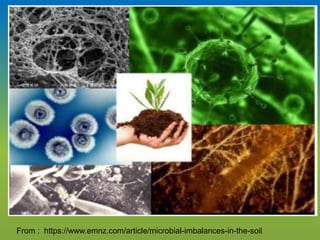 From : https://www.emnz.com/article/microbial-imbalances-in-the-soil
 