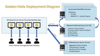 Windows/Linux Server Running Desktop App
Network Attached Server (5+TB)
VSWarehouse Server (Linux)
Automated Workflow Servers
• Sequencer Output (FASTQ)
• Secondary Analysis Data (VCFs/BAMs)
• VarSeq Projects
• Annotation Data
• User Preferences
VSPipeline
• VS-CNV
• BAM/VCF => VarSeq Projects
• Aggregate Variant Projects
• Interpretation Catalogs
• Monthly ClinVar Changes
• Sample Reports
Users Interact through Remote Desktop
Golden Helix Deployment Diagram
 