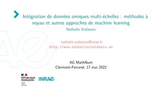 Intégration de données omiques multi-échelles : méthodes à
noyau et autres approches de machine learning
Nathalie Vialaneix
nathalie.vialaneix@inrae.fr
http://www.nathalievialaneix.eu
AG MathNum
Clermont-Ferrand, 17 mai 2022
 