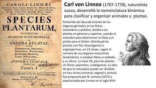 En 1732, la Real Sociedad de Ciencias de Upsala
sufragó la expedición de Linneo a Laponia, donde
estudió musgos y líquenes...