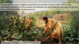 El uso de plantas por los indígenas americanos se remonta a más de 10,000 años. Se han
encontrado semillas de muchas espec...