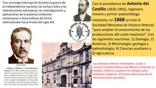 Carlos Pacheco Villalobos (1839-1891), militar
y político chihuahuense, gobernador de Puebla,
Morelos, Chihuahua y Distrit...