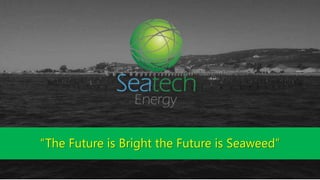 “The Future is Bright the Future is Seaweed”
 