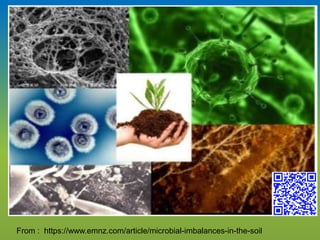 From : https://www.emnz.com/article/microbial-imbalances-in-the-soil
 