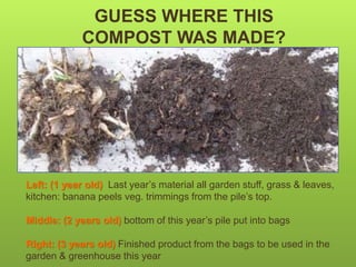 Left: (1 year old) Last year’s material all garden stuff, grass & leaves,
kitchen: banana peels veg. trimmings from the pile’s top.
Middle: (2 years old) bottom of this year’s pile put into bags
Right: (3 years old) Finished product from the bags to be used in the
garden & greenhouse this year
GUESS WHERE THIS
COMPOST WAS MADE?
 