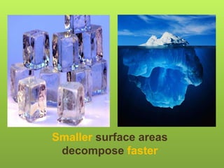 Smaller surface areas
decompose faster
 