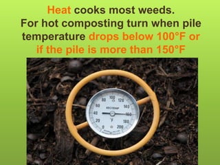 Heat cooks most weeds.
For hot composting turn when pile
temperature drops below 100°F or
if the pile is more than 150°F
 