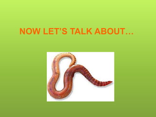 NOW LET’S TALK ABOUT…
 