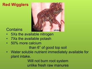 Contains
• 5Xs the available nitrogen
• 7Xs the available potash
• 50% more calcium
than 6” of good top soil
• Water soluble nutrient immediately available for
plant intake.
Will not burn root system
unlike fresh raw manures
Red Wigglers
UF/IFAS
 