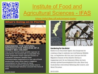 Institute of Food and
Agricultural Sciences - IFAS
https://sfyl.ifas.ufl.edu/miami-dade/
 