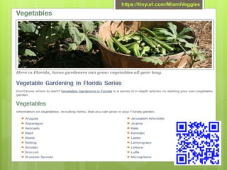 https://tinyurl.com/MiamiVeggies
 