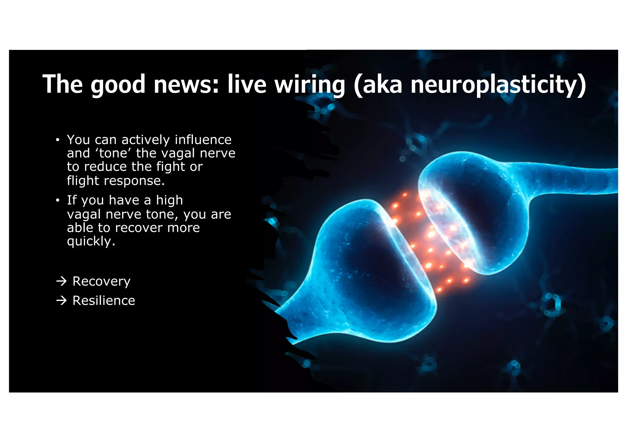 • You can actively influence
and ‘tone’ the vagal nerve
to reduce the fight or
flight response.
• If you have a high
vagal nerve tone, you are
able to recover more
quickly.
à Recovery
à Resilience
The good news: live wiring (aka neuroplasticity)
 