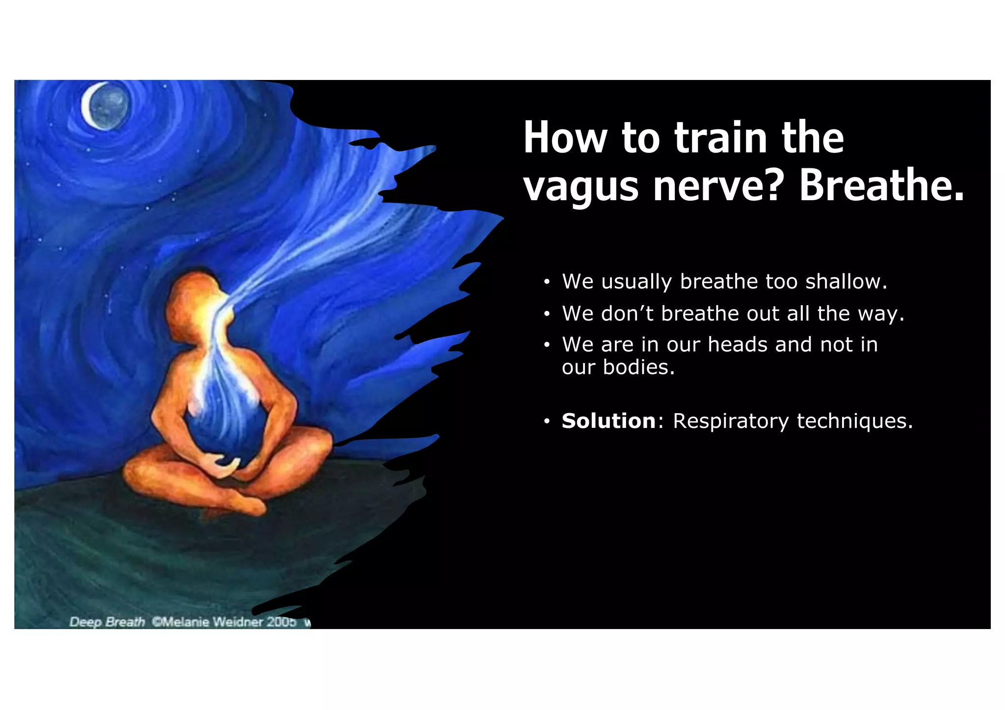 How to train the
vagus nerve? Breathe.
• We usually breathe too shallow.
• We don’t breathe out all the way.
• We are in our heads and not in
our bodies.
• Solution: Respiratory techniques.
 