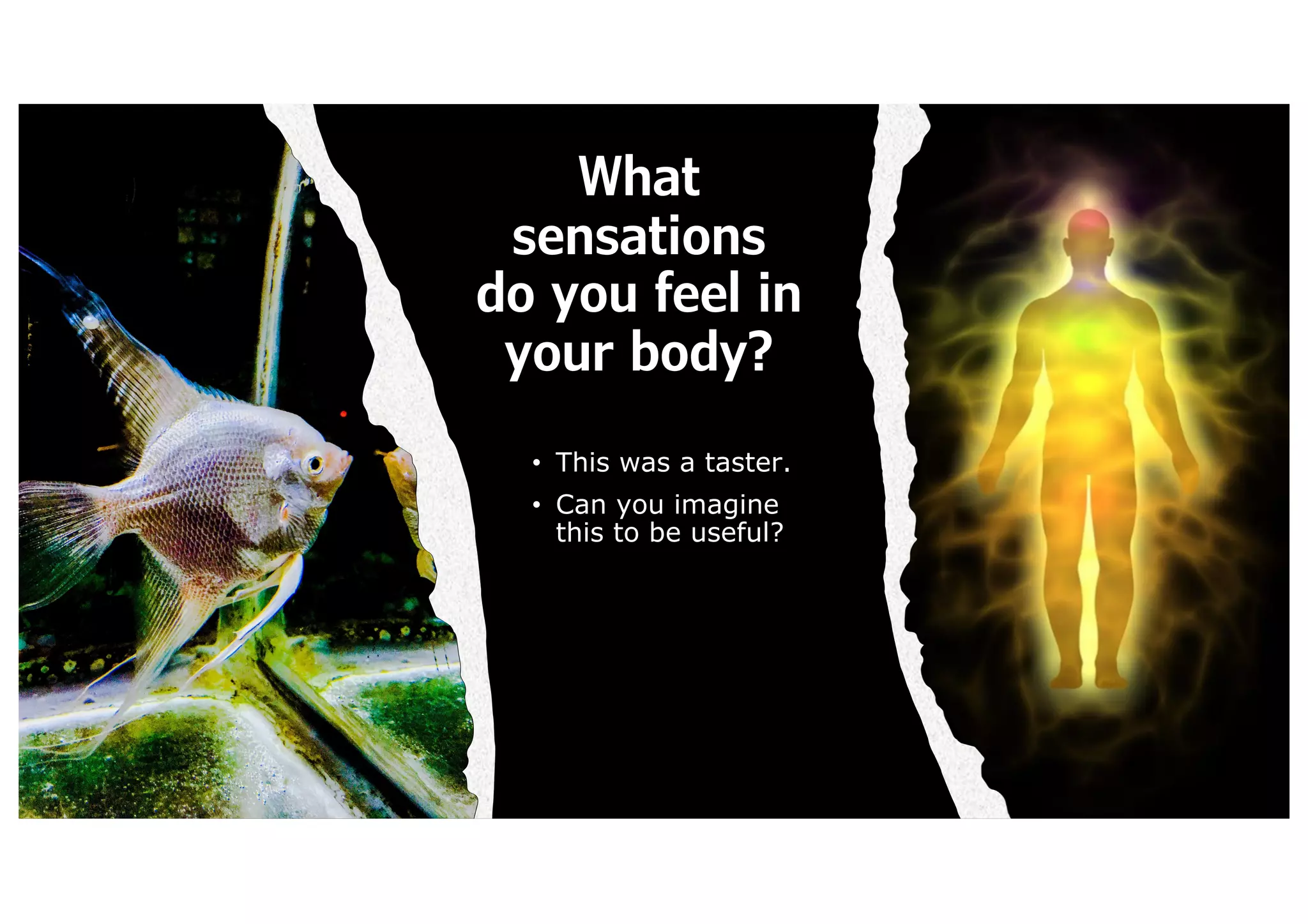 What
sensations
do you feel in
your body?
• This was a taster.
• Can you imagine
this to be useful?
 
