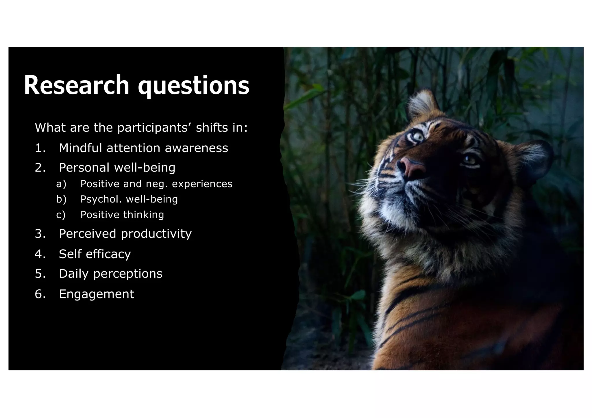 Research questions
What are the participants’ shifts in:
1. Mindful attention awareness
2. Personal well-being
a) Positive and neg. experiences
b) Psychol. well-being
c) Positive thinking
3. Perceived productivity
4. Self efficacy
5. Daily perceptions
6. Engagement
 