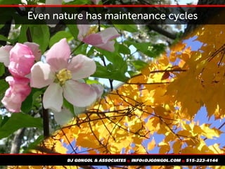 Even nature has maintenance cycles
 