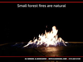 Small forest fires are natural
 