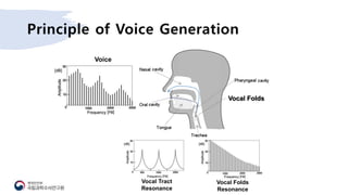 Principle of Voice Generation
Vocal Tract
Resonance
Vocal Folds
Resonance
Vocal Folds
Voice
 