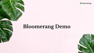 Bloomerang Demo
 
