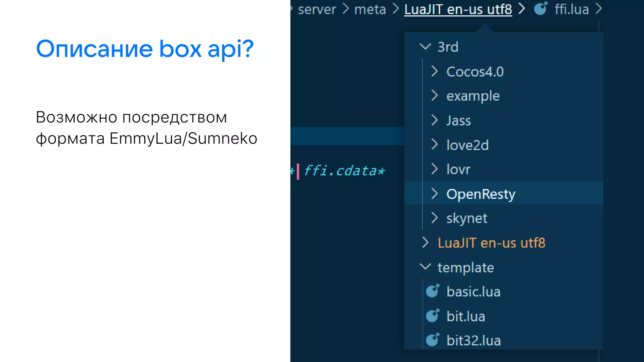 Возможно посредством
формата EmmyLua/Sumneko
 