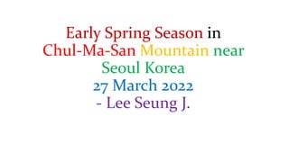 Early Spring Season in
Chul-Ma-San Mountain near
Seoul Korea
27 March 2022
- Lee Seung J.
 