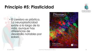 Principio #5: Plasticidad
• El cerebro es plástico.
La neuroplasticidad
existe a lo largo de la
vida, aunque hay
diferencias de
desarrollo notables por
edad.
20 April 2022 Journal of Neuroscience 2016 42
 