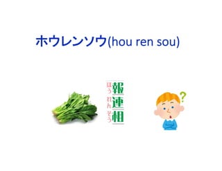 ホウレンソウ(hou ren sou)
 